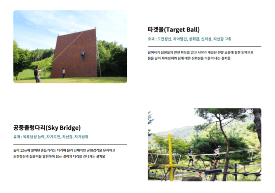 웰리힐리 챌린지어드벤쳐: 특별 프로그램